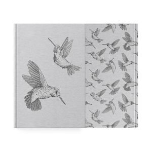Planer Paso Kolibry na magnes